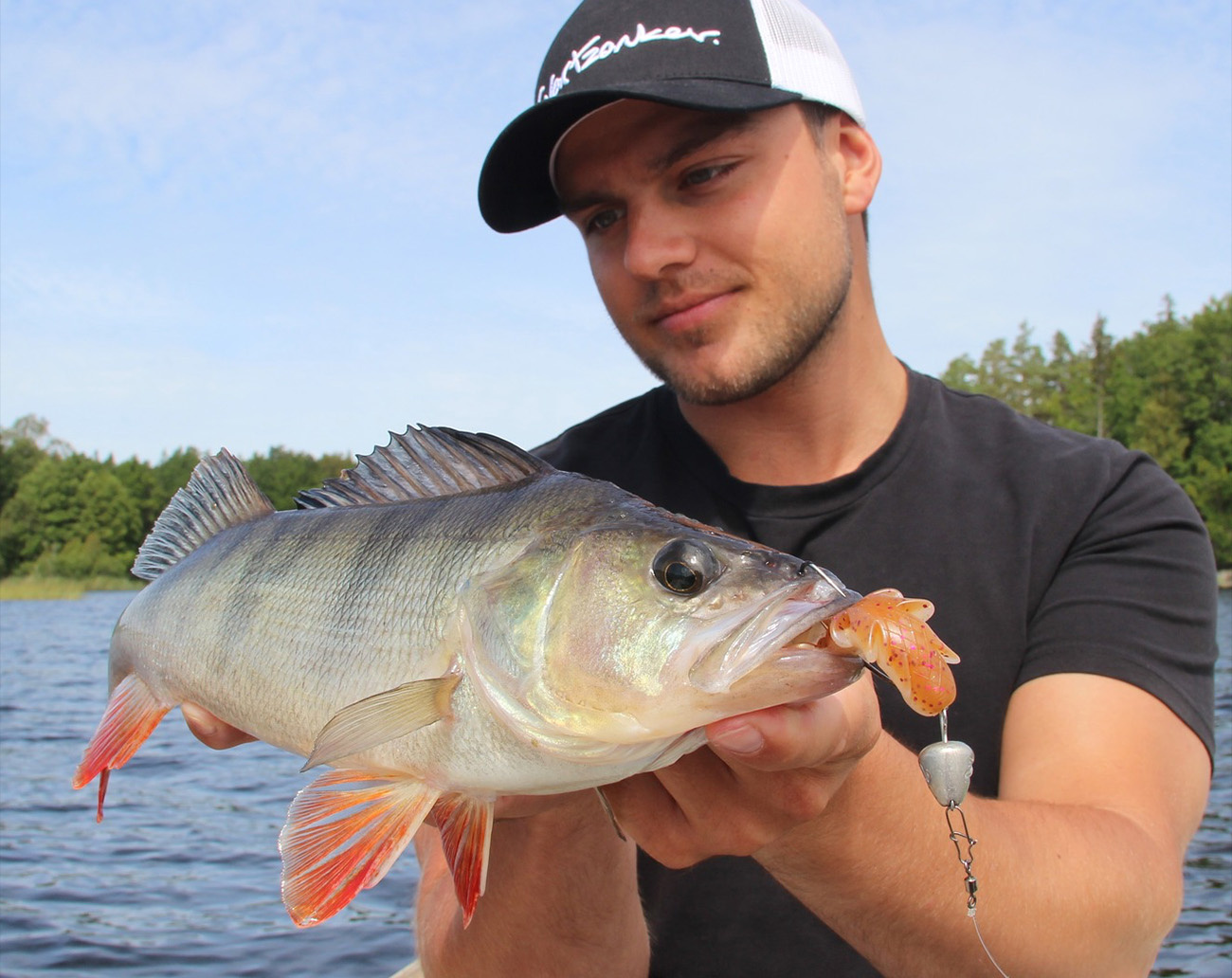 SvartZonker Ned Starter Kit Surpreme